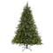 7.5ft. Pre-Lit Colorado Mountain Fir Artificial Christmas Tree, Clear LED Lights